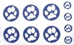 Item thumbnail for item 7892e5a4-74c1-4a77-8e27-e7d4d7eb7142