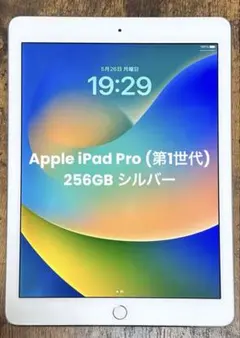 Apple iPad Pro (第1世代) 256GB シルバー ジャンク