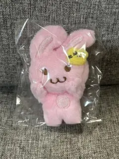 nct dream ジェミン 10cm doll ぬいぐるみ ちびぬい 버니잼 s-l400.jpg