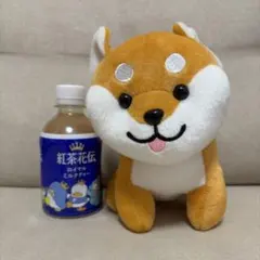 MOCOLE モコル ぬいぐるみ 柴犬 Mサイズ