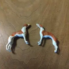 ウィペット☆セット