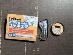 ハイキュー アクスタ 天童