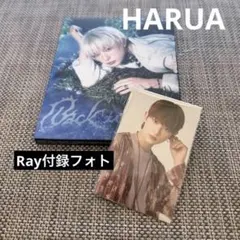 &TEAM HARUA Back to life ソロCD Rayフォトカード