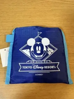 ディズニー　ミッキー　エコバッグ