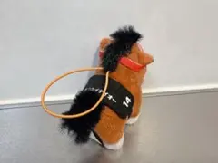 サラブレッドコレクション　ぷちぬいぐるみ　トウカイテイオー