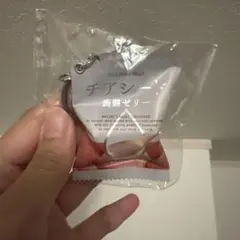 チアシード蒟蒻ゼリー もも味 ミニチュアキーホルダー 非売品 新品未使用