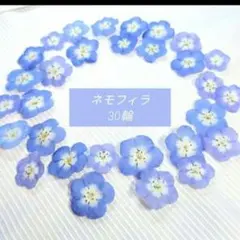 ぽち様 リクエスト 2点 まとめ商品