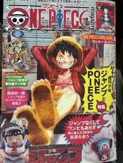 ONE PIECE CARD GAME 付録未開封