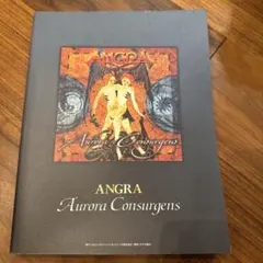 k*m様 バンドスコア ANGRA/オーロラコンサルジェンス - メルカリ