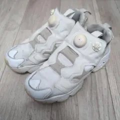 リーボック インスタ ポンプフューリー 22cm