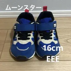 ムーンスター　キャロット
