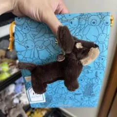 Item thumbnail for item 26069c72-0102-40a5-97ca-22cbeffb331c