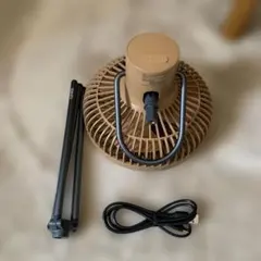 Item thumbnail for item 7d798f8b-661c-442e-aa70-2c893367d510