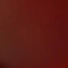 【専】詰め合わせ