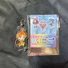 2025年最新】キュアウィング アクリルの人気アイテム - メルカリ