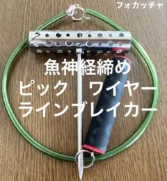 Item thumbnail for item 575b221e-5965-4a13-8d5b-00a1dd8acb8d