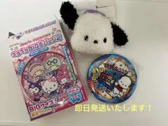 ⭐️ポチャッコ⭐️　サンリオキャラクターズ　キラキラBIG缶バッジ　& ヘアピン