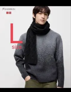 ユニクロ JWアンダーソン スフレヤーングラデーションクルーネックセーター L