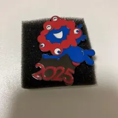 最終値下げ 大阪関西万博 UAE ナショナルデー 非売品 ピンバッジ 2点セット 万博 サウジアラビア館 ナショナルデー 2030年リヤド万博