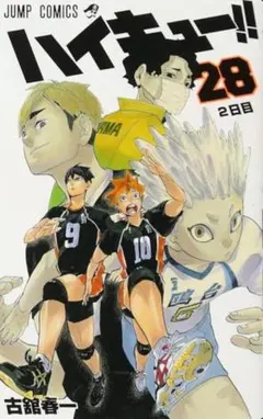 ハイキュー!! 28巻〜45巻　部分売りなので必ず欲しい巻のコメントください