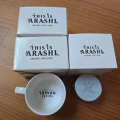 We are ARASHI 嵐ライブツアー2026 チェンジングマグカップ 新品
