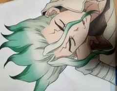 Dr.STONE 七海龍水 プレミアム抱き枕カバー - メルカリ