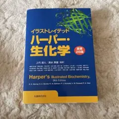 Item thumbnail for item a6120df8-65a7-4d50-b7ce-16dd2e4330e8