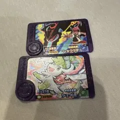 ポケモンフレンダ　レックウザ シェイミ 2枚セット