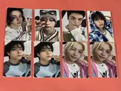 stray kids celebrATE リアルタッチ FANS 購入特典