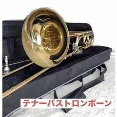 Item thumbnail for item 8c5b0be8-4d2e-495f-b793-d196ce82fea2