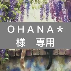 ＯＨＡＮＡ＊様　専用