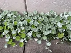 ぽっぽ様 リクエスト 2点 まとめ商品