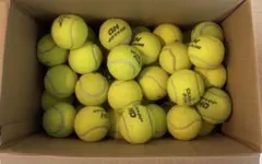 YONEX CHAMPIONSHIP 硬式テニスボール 60球 加圧済！ - メルカリ