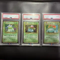 PSA10 フシギダネ フシギソウ フシギバナ 3連番 classic - メルカリ