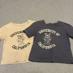 UCLA クマ Tシャツセット ベージュ ネイビー