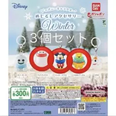 ディズニーキャラクター めじるしアクセサリー Winter 3個セット