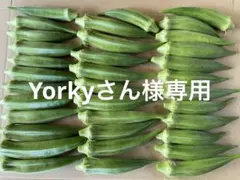 Yorkyさん様専用のサムネイル