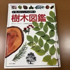 「知」のビジュアル百科　樹木図鑑