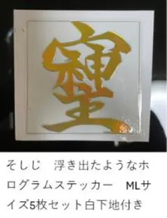 そしじ　浮き出たようなホログラムステッカー　MLサイズ5枚セット白下地付き