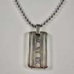 ティファニー アトラス プレート タグ ネックレス 社外チェーン SV925