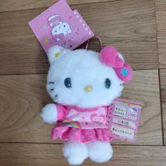 新品未使用品 サンリオ なつかしプロフィール帳 ハローキティ マスコット