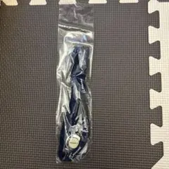 Item thumbnail for item 651b6f27-0273-4882-a5ec-03b82ced4c87