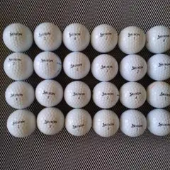 Item thumbnail for item 178c35a9-cdf7-468c-b827-3d90614e697a