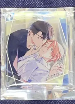 chara グラッテ コロッタ 加奈