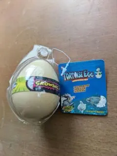 Item thumbnail for item 64337039-0829-4bc9-a6e1-c5a0ae866f20