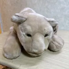 Item thumbnail for item 992854f6-d118-4375-ad98-7ade94ff65bf