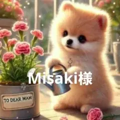 Misaki様専用　①