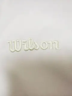 Item thumbnail for item 68169e07-fe5d-4c90-96ae-3d4bc3d1edcd