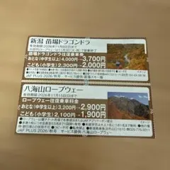 니가타 나에바 드래곤 드라 야카이산 로프웨이 왕복 승차권 할인권