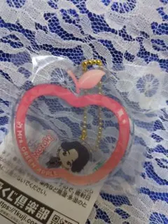 h*a様 Mrs. GREEN APPLE シャカシャカアクリルチャーム一番くじ